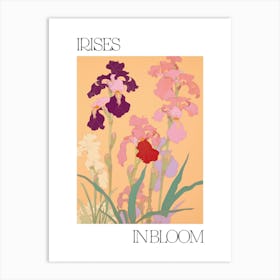 Irises In Bloom Flowers Bold Illustration 3 Art Print