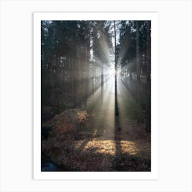 Sunbeams in the winter forest 3 Art Print
