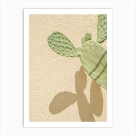 Cacti Shadowplay Art Print