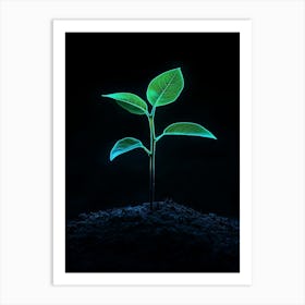 Green Plant Growing In The Dark 3 Art Print