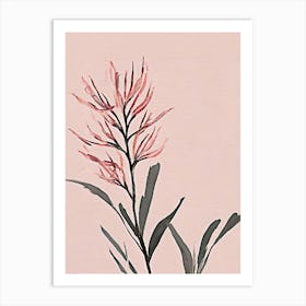 Australian native flower pink Art Print