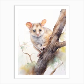Light Watercolor Painting Of A Common Brushtail Possum 3 Art Print