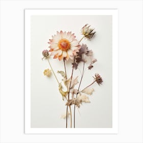 Pressed Flower Botanical Art Everlasting Flower 3 Art Print