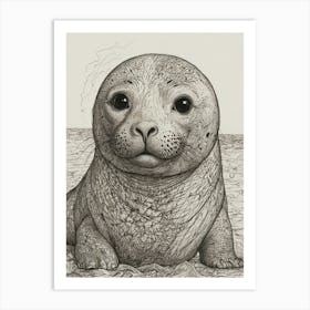 Seal Baby Art Print