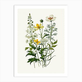 Vintage Botanical Galleria Style Wildflower Painting 44 Art Print