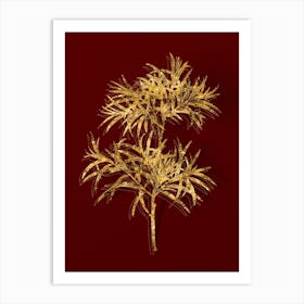 Vintage Bitter Willow Botanical in Gold on Red n.0193 Art Print