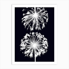 Black white allium 2 Art Print