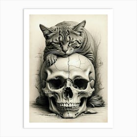 Cat On A Skull Art Print