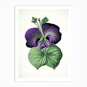 Sweet Violet Leaf Vintage Botanical 1 Art Print