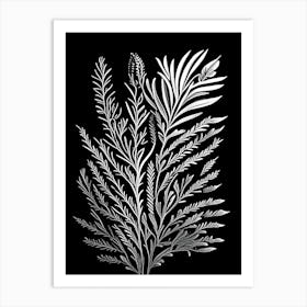 Rosemary Leaf Linocut 3 Art Print