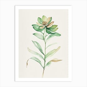 Zinnia Leaf Minimalist Watercolour 2 Art Print