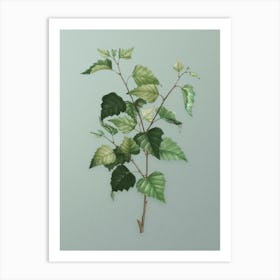 Vintage Silver Birch Botanical Art on Mint Green n.0648 Art Print
