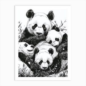 Giant Panda Family Sleeping Ink Illustration 2 Art Print