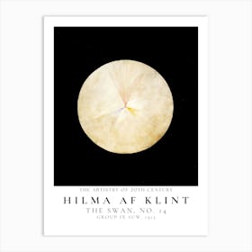 Hilma Af Klint Swan 1 Art Print