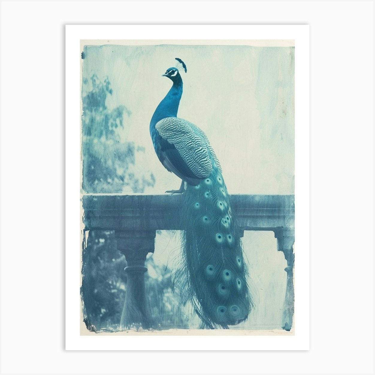 Vintage Peacock On A Banister Cyanotype Inspired 4 Art Print by Featherline