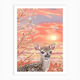 Fawn At Sunset Art Print