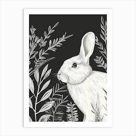 Florida White Rabbit Minimalist Illustration 4 Art Print