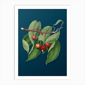 Vintage Cherry Botanical Art on Teal Blue 1 Art Print