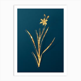 Vintage Ixia Anemonae Flora Botanical in Gold on Teal Blue Art Print