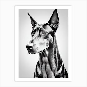 Doberman Pinscher B&W Pencil Dog Art Print