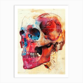 Skull anatomy biology art Art Print