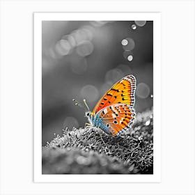 Butterfly In Black And White 1 Art Print