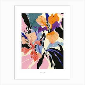 Colourful Flower Illustration Poster Phlox 3 Art Print