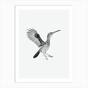 Roadrunner B&W Pencil Drawing 1 Bird Art Print