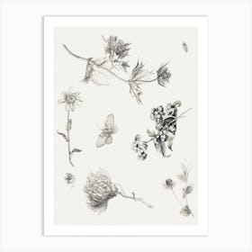 Flowers And Leaves (1878–1917), Theo Van Hoytema Art Print