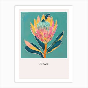 Protea 3 Square Flower Illustration Poster Art Print