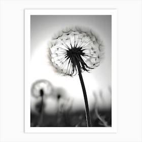 Ephemeral Wishes: A Black And White Foto Of A Dandelion Art Print