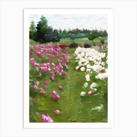 Pink Roses 1 Art Print