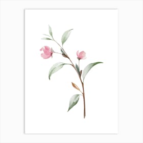 Watercolor Pink Flowers On A Branch Art Print