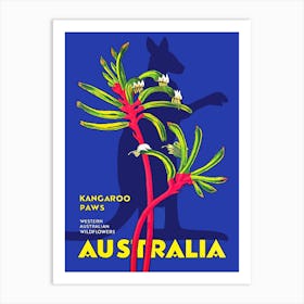 Australia, Kangaroo Paws Art Print