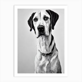 Pointer B&W Pencil Dog Art Print