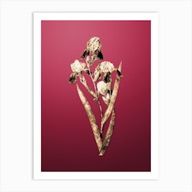 Gold Botanical Elder Scented Iris on Viva Magenta Art Print