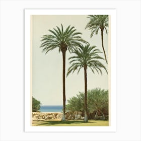 Cala Tarida Ibiza Spain Vintage Art Print