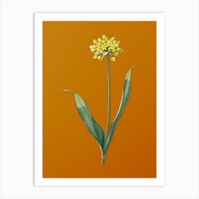 Vintage Golden Garlic Botanical on Sunset Orange n.0005 Art Print