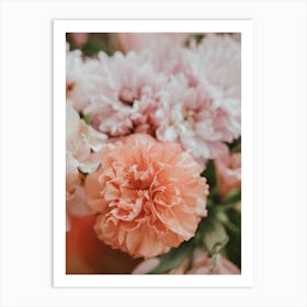 Pink Carnations Art Print