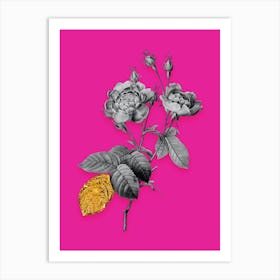Vintage Anemone Centuries Rose Black and White Gold Leaf Floral Art on Hot Pink n.1205 Art Print