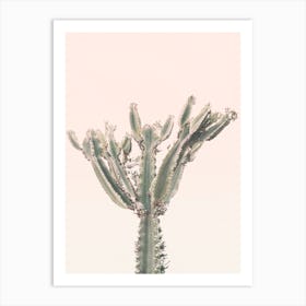 Sunset Cactus Ii Art Print