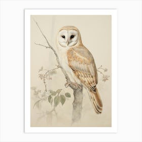 Vintage Bird Drawing Barn Owl 1 Art Print