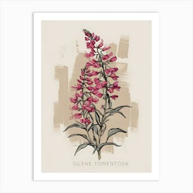 SILENE TOMENTOSA Art Print