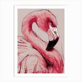 Flamingo 19 Art Print