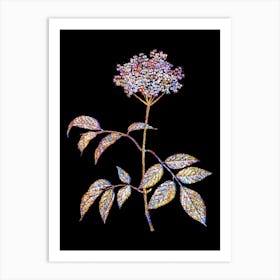 Stained Glass Elderflower Tree Mosaic Botanical Illustration on Black n.0214 Art Print