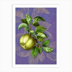Vintage Apple Botanical Illustration on Veri Peri n.0731 Art Print