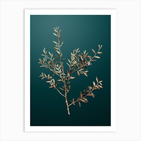 Gold Botanical Myrtle Dahoon Branch on Dark Teal Art Print