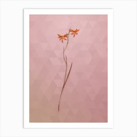 Vintage Gladiolus Watsonius Botanical Art on Crystal Rose Art Print
