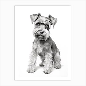 Miniature Schnauzer Dog, Line Drawing 1 Art Print