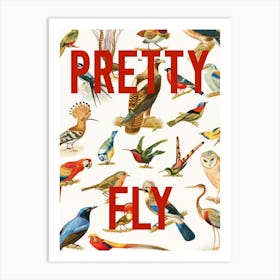 Pretty Fly Bird Pattern Art Print